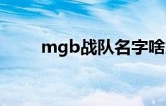 mgb战队名字啥意思（MGB战队）